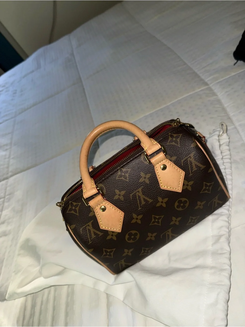 Louis Vuitton Speedy 20